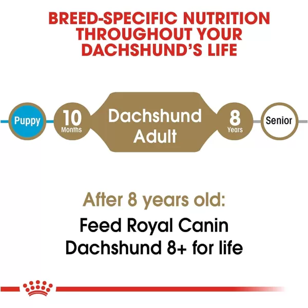 imageRoyal Canin Dachshund Adult Breed Specific Dry Dog Food 25 lb bagRoyal Canin Dachshund Adult Breed Specific Dry Dog Food 25 lb bag
