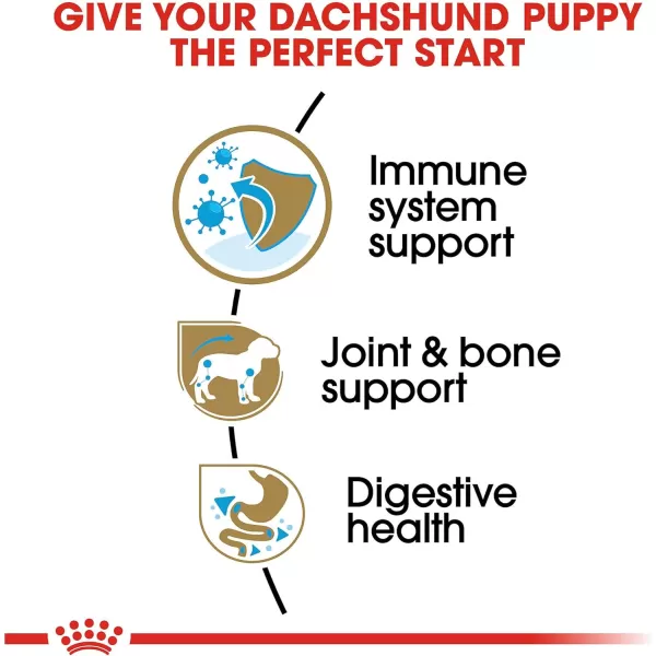 imageRoyal Canin Dachshund Puppy Breed Specific Dry Dog Food 25 lb bagRoyal Canin Dachshund Puppy Breed Specific Dry Dog Food 25 lb bag