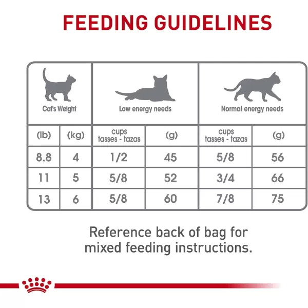 imageRoyal Canin Feline Care Nutrition Dental Care Dry Cat Food 3 lb bag6 Pound Pack of 1