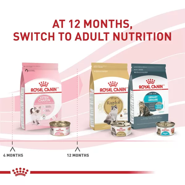 imageRoyal Canin Feline Health Nutrition Kitten Loaf In Sauce Canned Cat Food 3 oz Can3 Ounce Pack of 24 Loaf in Sauce