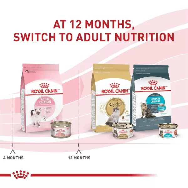imageRoyal Canin Feline Health Nutrition Kitten Loaf In Sauce Canned Cat Food 3 oz Can51 Ounce Pack of 24 Loaf in Sauce