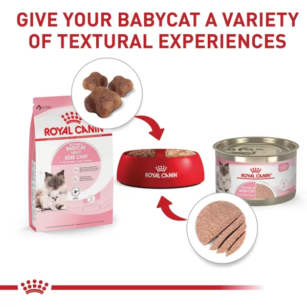 imageRoyal Canin Feline Health Nutrition Mother amp Babycat Dry Cat Food for Newborn Kittens and Pregnant or Nursing Cats 6 lb Bag6 Pound Pack of 1