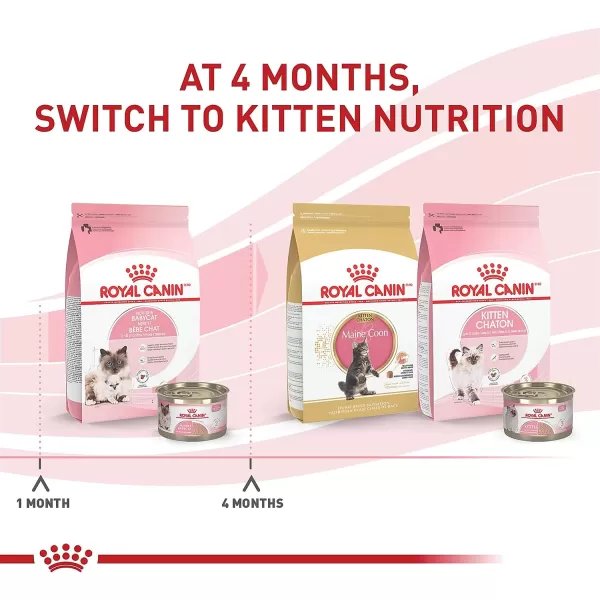 imageRoyal Canin Feline Health Nutrition Mother amp Babycat Dry Cat Food for Newborn Kittens and Pregnant or Nursing Cats 6 lb Bag6 Pound Pack of 1