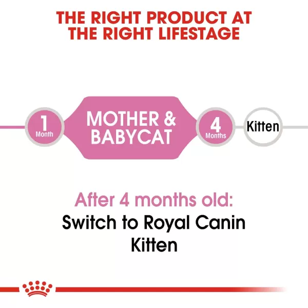 imageRoyal Canin Feline Health Nutrition Mother amp Babycat Dry Cat Food for Newborn Kittens and Pregnant or Nursing Cats 7 Pound Bag7 Pound Pack of 1
