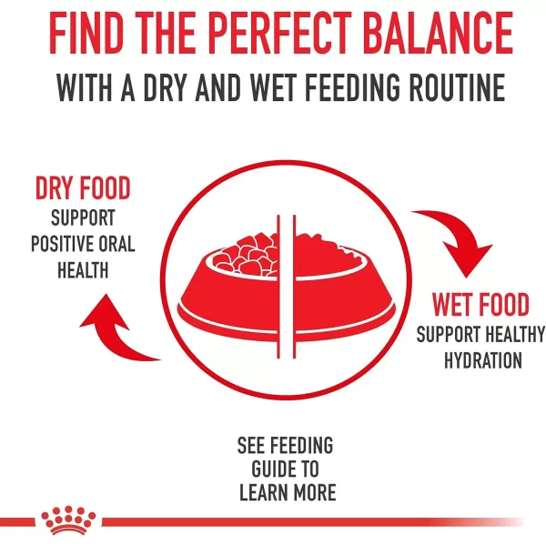 imageRoyal Canin Feline Health Nutrition Mother amp Babycat Ultra Soft Mousse in Sauce Canned Cat Food 58 oz can3 Ounce Pack of 12