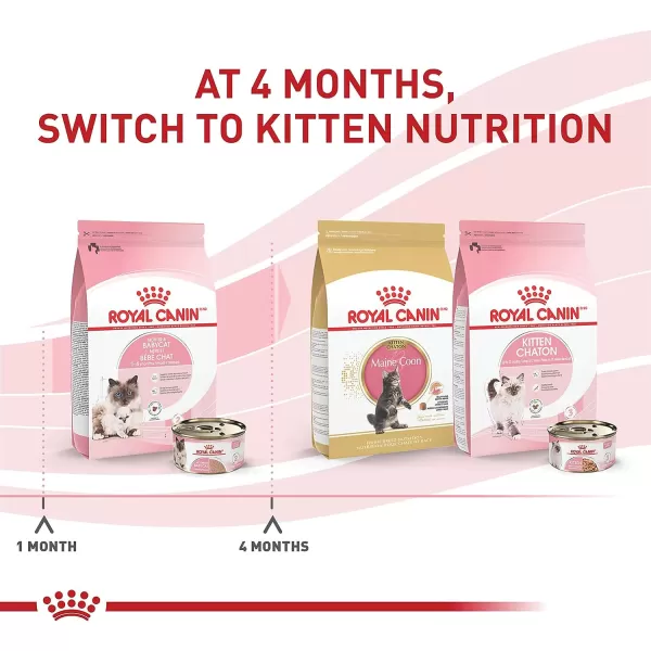 imageRoyal Canin Feline Health Nutrition Mother amp Babycat Ultra Soft Mousse in Sauce Canned Cat Food 58 oz can3 Ounce Pack of 24