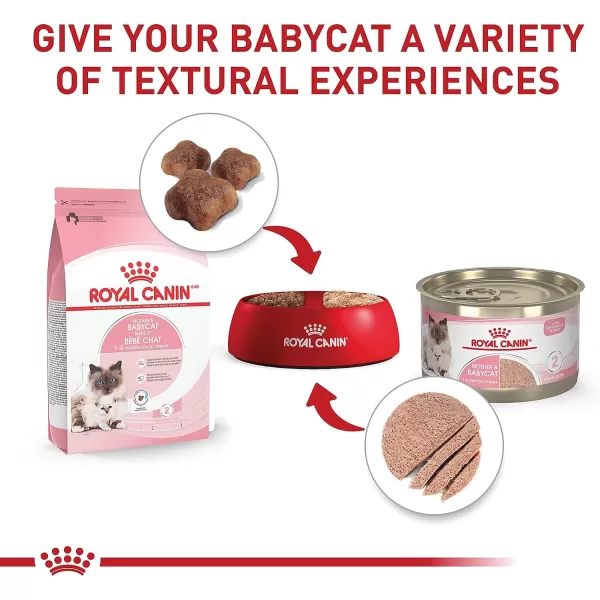 imageRoyal Canin Feline Health Nutrition Mother amp Babycat Ultra Soft Mousse in Sauce Canned Cat Food 58 oz can3 Ounce Pack of 6
