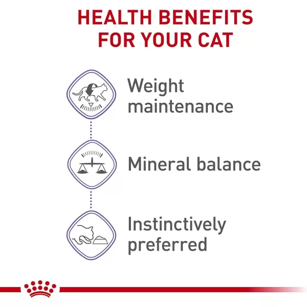 imageRoyal Canin Feline Health Nutrition SpayedNeutered Thin Slices In Gravy Canned Cat Food 3 oz cans 24countRoyal Canin Feline Health Nutrition SpayedNeutered Thin Slices In Gravy Canned Cat Food 3 oz cans 24count