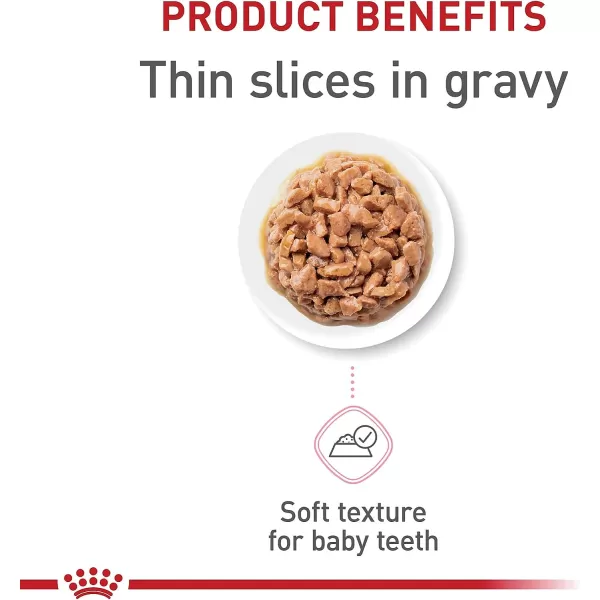 imageRoyal Canin Feline Health Nutrition Thin Slices in Gravy Wet Kitten Food 3 Ounce Can 12Pack3 Ounce Pack of 24 Case of 24