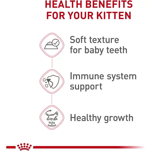 imageRoyal Canin Feline Health Nutrition Thin Slices in Gravy Wet Kitten Food 3 Ounce Can 12Pack3 Ounce Pack of 6 6Pack
