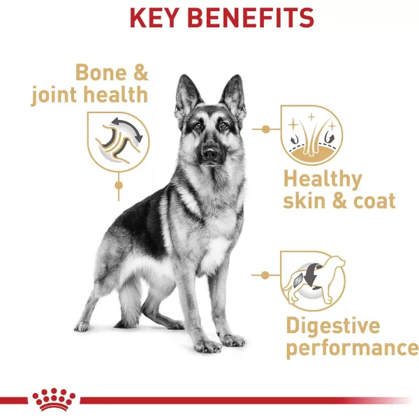 imageRoyal Canin German Shepherd Adult Dry Dog Food 30 lb bag17 Pound Pack of 1