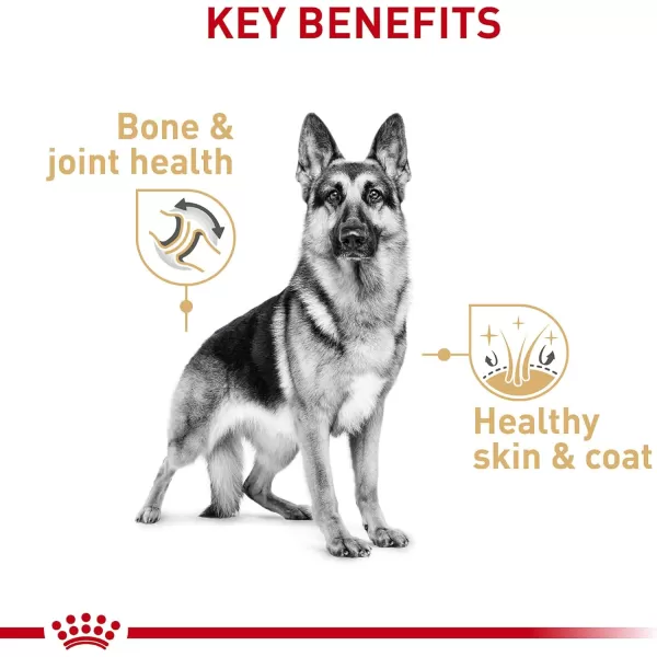 imageRoyal Canin German Shepherd Loaf in Sauce Canned Dog Food 135 oz can135 Ounce Pack of 12