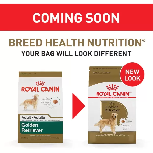 imageRoyal Canin Golden Retriever Adult Dry Dog Food 17 lb bag17 Pound Pack of 1