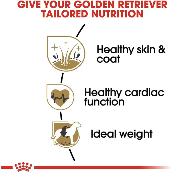 imageRoyal Canin Golden Retriever Adult Dry Dog Food 17 lb bag30 Pound Pack of 1