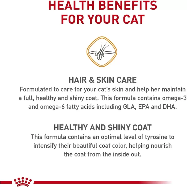 imageRoyal Canin Hair amp Skin Care Dry Cat Food 6 lb bag35 Pound Pack of 1