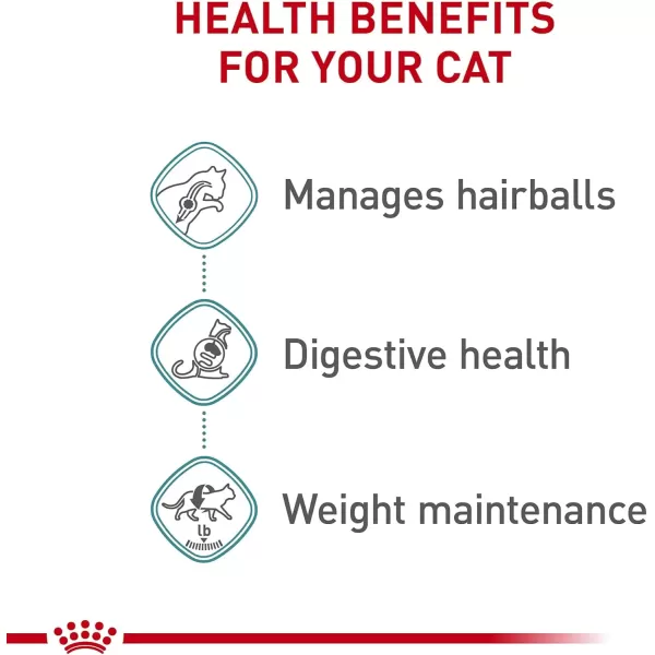 imageRoyal Canin Hairball Care Thin Slices in Gravy Wet Cat Food 3 oz cans 12pack3 Ounce Pack of 24