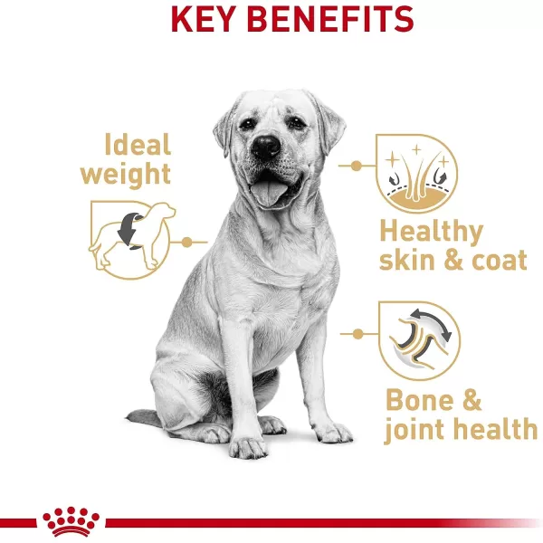 imageRoyal Canin Labrador Retriever Adult Dry Dog Food 30 lb bag13 piece set Bundle Dry amp Wet