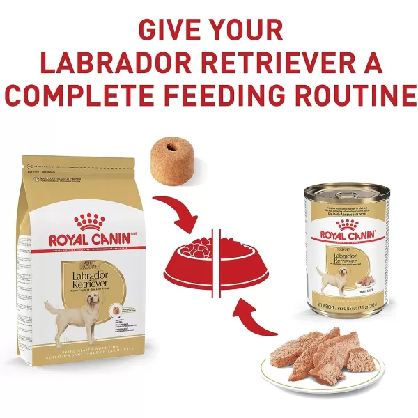 imageRoyal Canin Labrador Retriever Adult Dry Dog Food 30 lb bag17 Pound Pack of 1 Adult