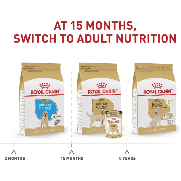 imageRoyal Canin Labrador Retriever Adult Dry Dog Food 30 lb bag17 Pound Pack of 1 Adult