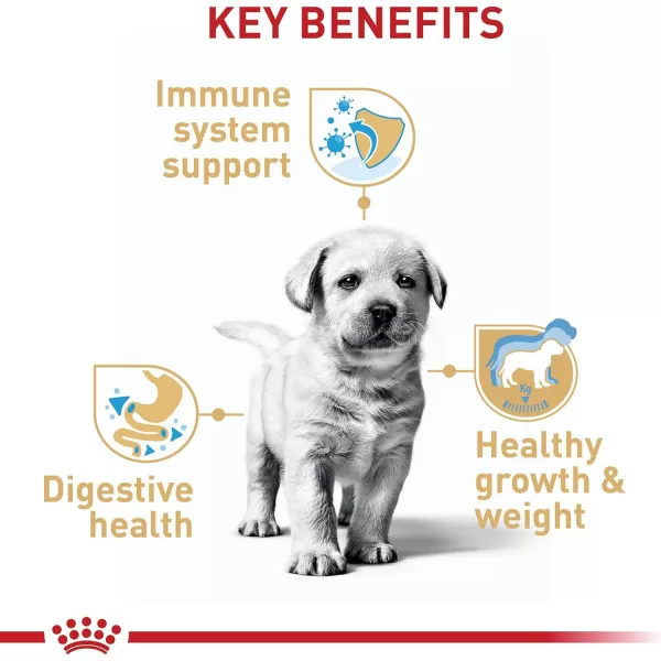 imageRoyal Canin Labrador Retriever Puppy Breed Specific Dry Dog Food 30 lb bagRoyal Canin Labrador Retriever Puppy Breed Specific Dry Dog Food 30 lb bag