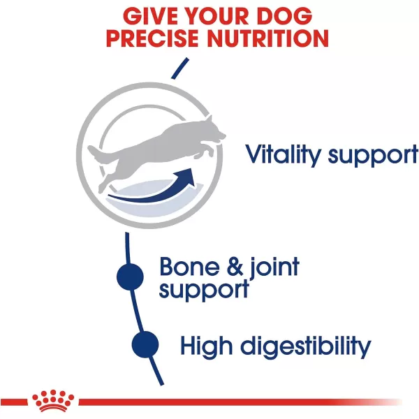 imageRoyal Canin Large Adult 5 Dry Dog Food for Older Dogs 30 lb bagRoyal Canin Large Adult 5 Dry Dog Food for Older Dogs 30 lb bag
