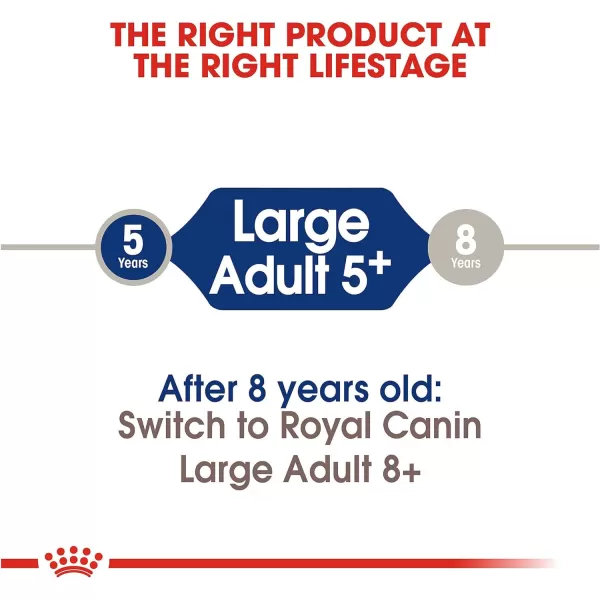 imageRoyal Canin Large Adult 5 Dry Dog Food for Older Dogs 30 lb bagRoyal Canin Large Adult 5 Dry Dog Food for Older Dogs 30 lb bag