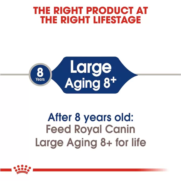 imageRoyal Canin Large Aging 8 Senior Dry Dog Food 30 lb bag 518330Royal Canin Large Aging 8 Senior Dry Dog Food 30 lb bag 518330