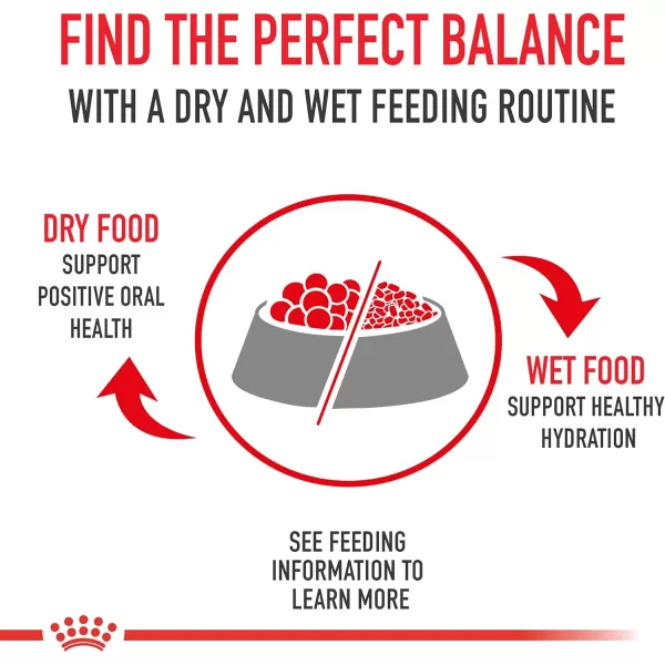 imageRoyal Canin Large Aging 8 Senior Dry Dog Food 30 lb bag 518330Royal Canin Large Aging 8 Senior Dry Dog Food 30 lb bag 518330