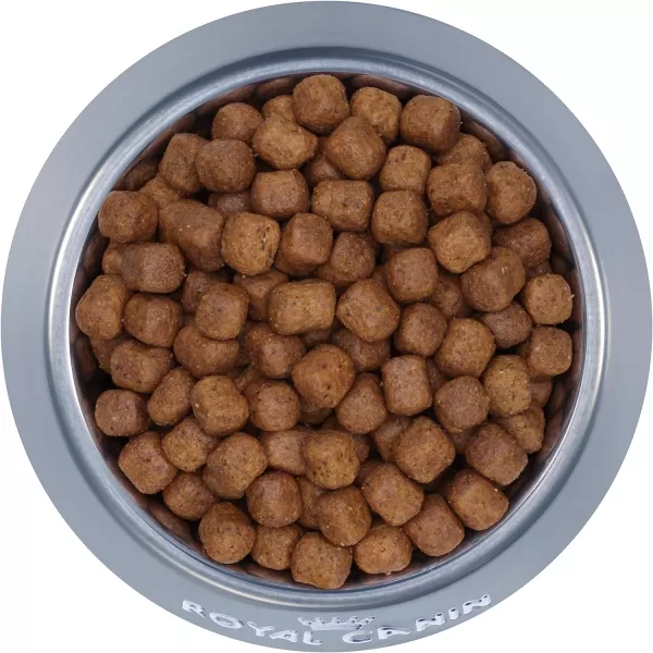 imageRoyal Canin Maine Coon Breed Adult Dry Cat Food 6 lb bag14 Pound Pack of 1