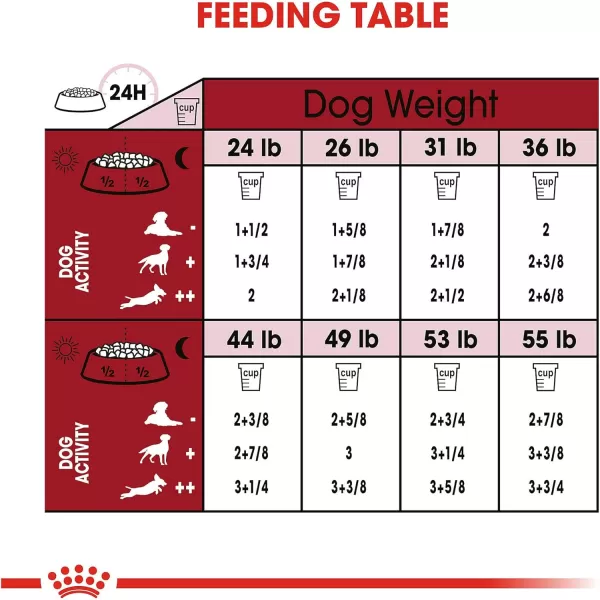 imageRoyal Canin Medium Adult 7 Dry Dog Food for Older Dogs 30 lb bag6 Pound Pack of 1