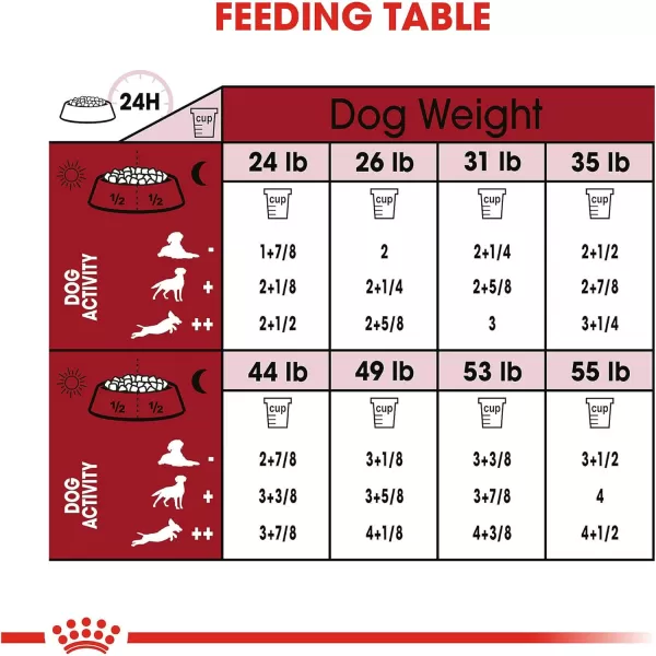 imageRoyal Canin Medium Aging 10 Senior Dry Dog Food 30 lb bagRoyal Canin Medium Aging 10 Senior Dry Dog Food 30 lb bag