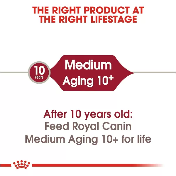 imageRoyal Canin Medium Aging 10 Senior Dry Dog Food 30 lb bagRoyal Canin Medium Aging 10 Senior Dry Dog Food 30 lb bag