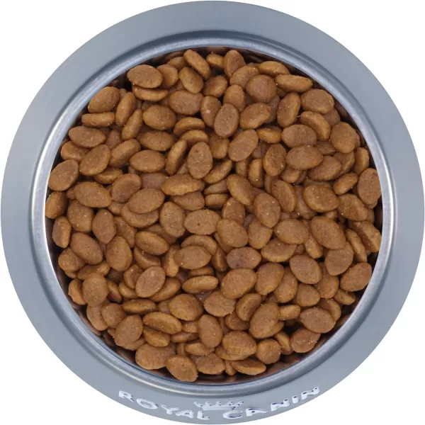 imageRoyal Canin Persian Breed Adult Dry Cat Food 7 lb bag3 Pound Pack of 1