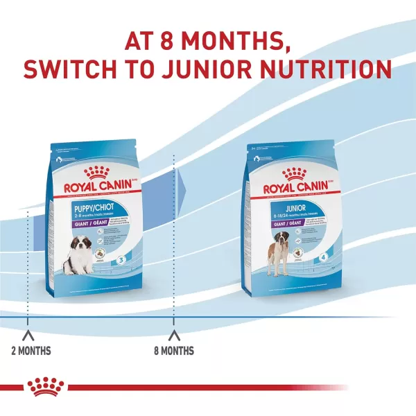 imageRoyal Canin Size Health Nutrition Giant Puppy Dry Dog Food 30 lb bagRoyal Canin Size Health Nutrition Giant Puppy Dry Dog Food 30 lb bag