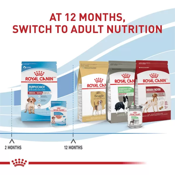 imageRoyal Canin Size Health Nutrition Medium Puppy Chunks in Gravy Wet Dog Food 49 oz Pouches 10PackRoyal Canin Size Health Nutrition Medium Puppy Chunks in Gravy Wet Dog Food 49 oz Pouches 10Pack