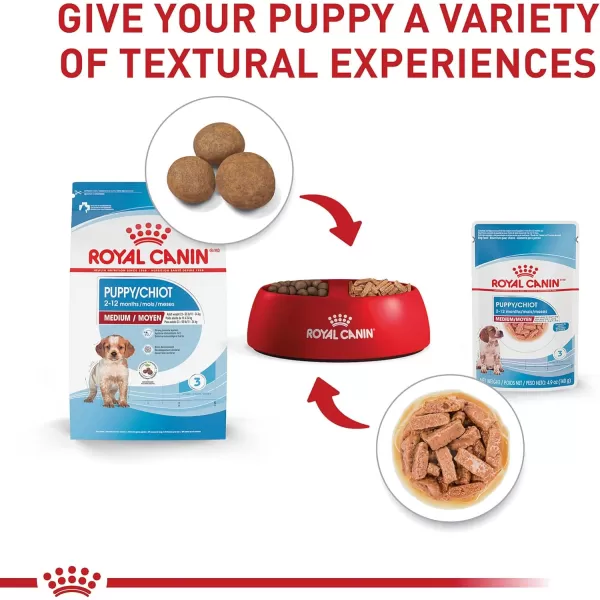 imageRoyal Canin Size Health Nutrition Medium Puppy Chunks in Gravy Wet Dog Food 49 oz Pouches 10PackRoyal Canin Size Health Nutrition Medium Puppy Chunks in Gravy Wet Dog Food 49 oz Pouches 10Pack