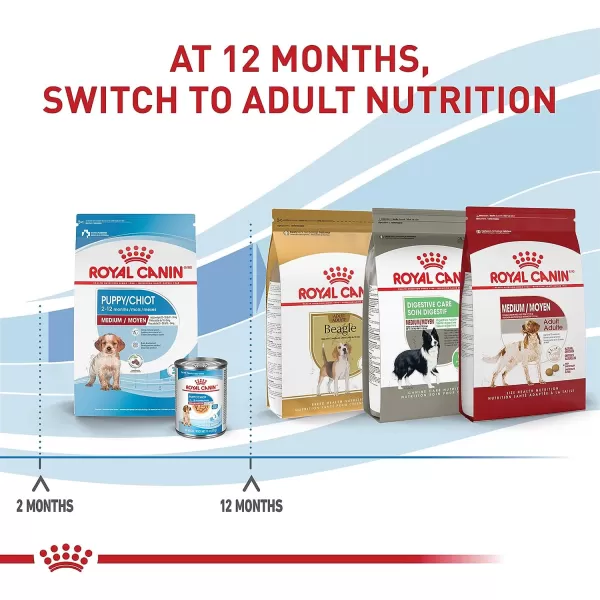imageRoyal Canin Size Health Nutrition Medium Puppy Dry Dog Food 17 lb bagRoyal Canin Size Health Nutrition Medium Puppy Dry Dog Food 17 lb bag