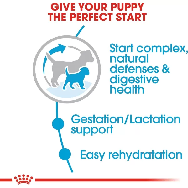 imageRoyal Canin Size Health Nutrition Small Starter Mother And Babydog Dry Dog Food 2 Lb2 Pound Pack of 1