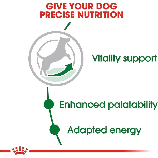 imageRoyal Canin Small Adult 8 Dry Dog Food 13 lb bagRoyal Canin Small Adult 8 Dry Dog Food 13 lb bag