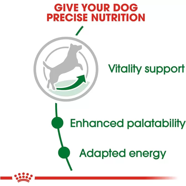 imageRoyal Canin Small Adult 8 Dry Dog Food 25 lb bagRoyal Canin Small Adult 8 Dry Dog Food 25 lb bag