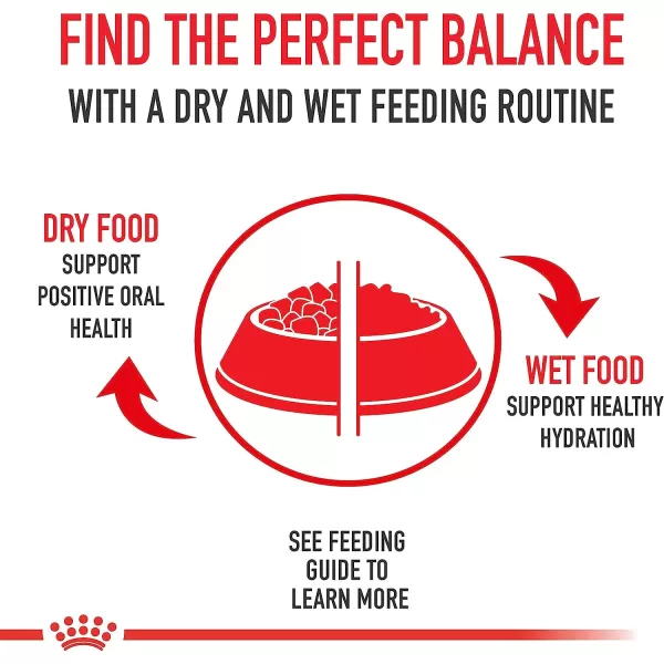 imageRoyal Canin Small Aging Wet Dog Food 3 oz pouches 12countRoyal Canin Small Aging Wet Dog Food 3 oz pouches 12count