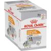 imageRoyal Canin Coat Care Loaf in Gravy Pouch Dog Food 3 oz pouches 12countGravy
