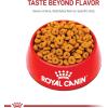 imageRoyal Canin Large Weight Care Adult Dry Dog Food for Large Breeds 30 lb bag6 Pound Pack of 1