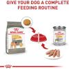 imageRoyal Canin Medium Sensitive Skin Care Dry Dog Food 6 lb bag17 Pound Pack of 1