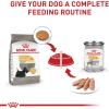 imageRoyal Canin Medium Sensitive Skin Care Dry Dog Food 6 lb bag3 Pound Pack of 1