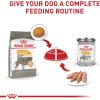 imageRoyal Canin Medium Sensitive Skin Care Dry Dog Food 6 lb bag30 Pound Pack of 1
