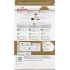 imageRoyal Canin Siamese Breed Adult Dry Cat Food 25 lb bag25 Pound Pack of 1