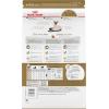 imageRoyal Canin Siamese Breed Adult Dry Cat Food 25 lb bag6 Pound Pack of 1