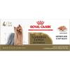 imageRoyal Canin Yorkshire Terrier Adult Breed Specific Wet Dog Food 3 oz can 4pack3 Ounce Pack of 4