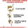 imageRoyal Canin Yorkshire Terrier Adult Dry Dog Food 10 lb bag10 Pound Pack of 1